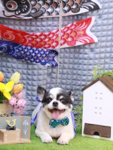 20230502プアちゃん